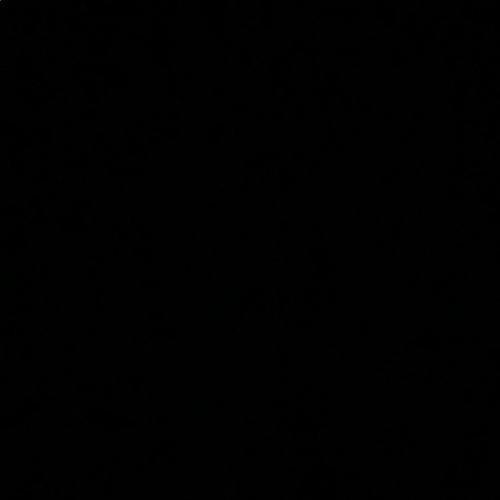 Meet your Posher, Ava